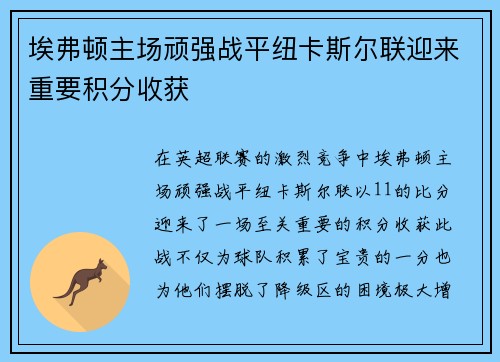 埃弗顿主场顽强战平纽卡斯尔联迎来重要积分收获